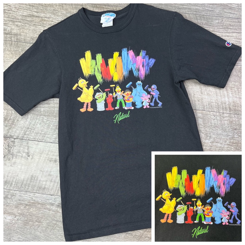 Champion X Sesame Street X Jason Freeny Group Graphic T-Shirt ~ Size Men S